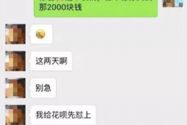 德宏为什么选择专业追讨公司来处理您的债务纠纷？